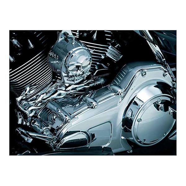 Kuryakyn Upgrade Your Harley: Kuryakyn 7780 Inner Primary Cover for 2009-16 Touring Motorcycles in Chrome - View 3 of 6