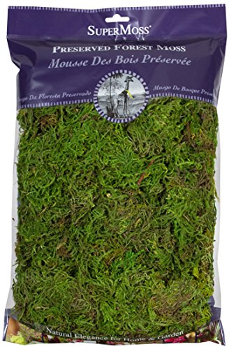 SuperMoss Buy SuperMoss Forest Moss 8oz - Fresh Green Preserved Moss for Crafts & Decor
