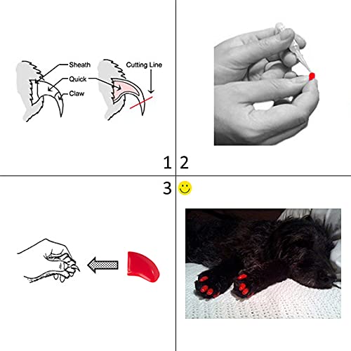 Purrdy Paws Purrdy Paws Soft Nail Caps for Dogs Black XXL Size Durable and Comfortable Claw Protection - View 3 of 6