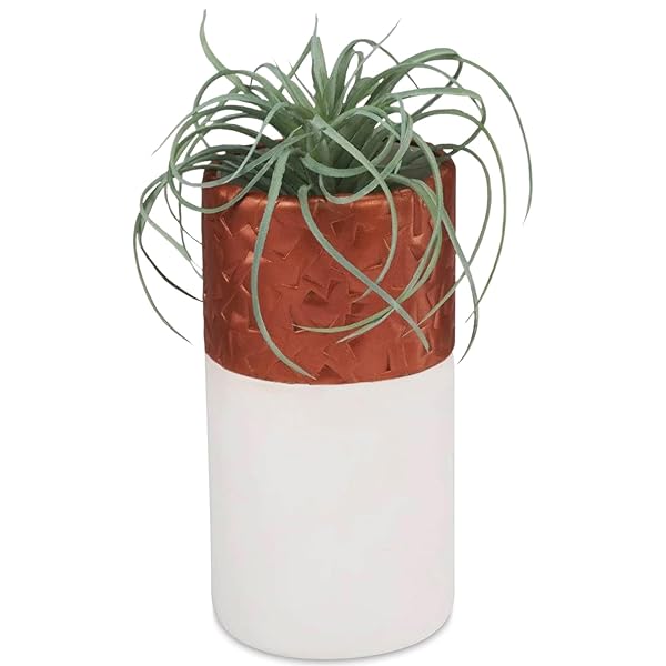 Sculpey 24-Color Sculpey Premo Polymer Clay Sampler - Non-Toxic, Oven-Bake, Perfect for Jewelry & DIY Projects - View 7 of 9