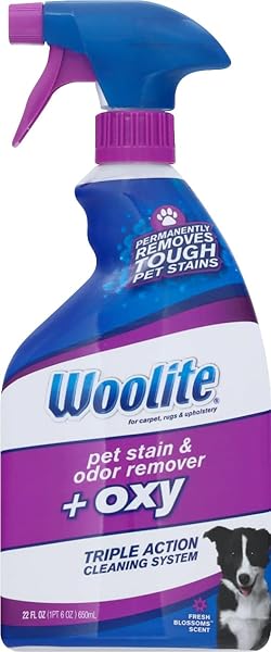 Reckitt Reckitt Benckiser Woolite Pet Stain Remover 22 oz - Effective Solution for Tough Pet Stains