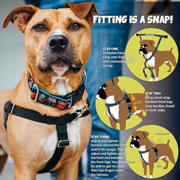 2 Hounds Design 2 Hounds Design Freedom No Pull Harness Small 5/8 Inch Red for Comfortable Dog Walking - View 2 of 5