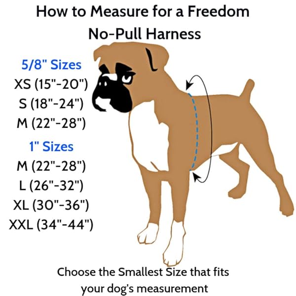 2 Hounds Design 2 Hounds Design Freedom No Pull Harness Small 5/8 Inch Red for Comfortable Dog Walking - View 5 of 5