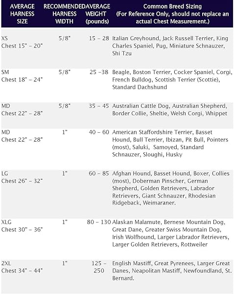 2 Hounds Design 2 Hounds Design Freedom No Pull Harness X Large Red 1 Inch for Dogs - View 4 of 6