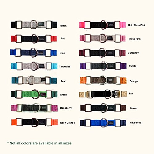 2 Hounds Design 2 Hounds Design Freedom No Pull Harness X Large Red 1 Inch for Dogs - View 6 of 6