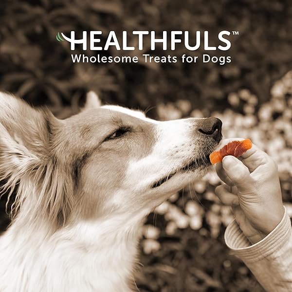 HEALTHFULS Healthfuls Chicken Wrapped Sweet Potato Dog Treats 16oz Natural Healthy Snack for Dogs - View 5 of 8