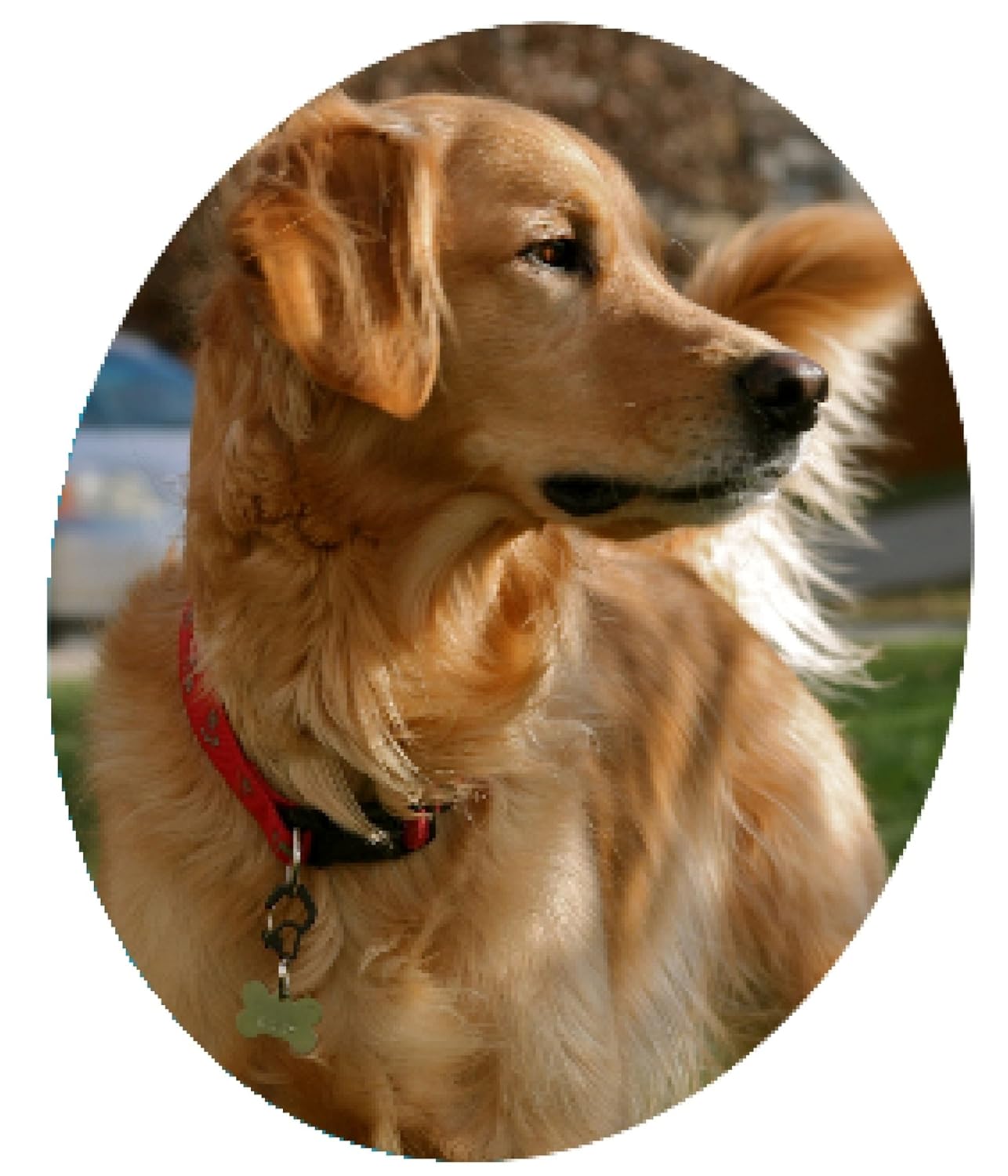 Rubit Rubit Medium Curve Aluminum Dog Tag Clip in Purple for Dogs Durable and Stylish Pet Accessory - View 2 of 8