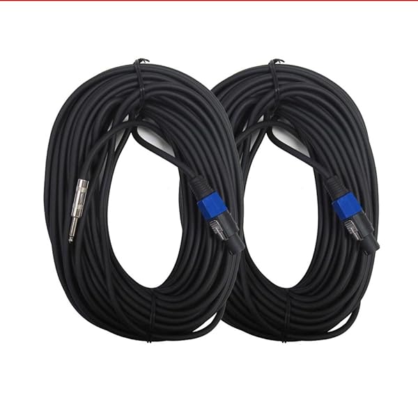 Seismic Audio Seismic Audio SASPT14 100 Foot Speakon to 1/4 Inch PA DJ Speaker Cable 2 Pack 14 Gauge Conductor