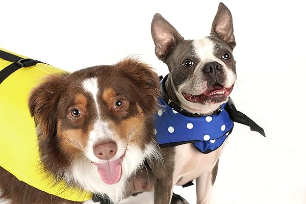 SEACHOICE Seachoice Adjustable Dog Life Vest Yellow Small 15-20 Lbs with Grab Handle for Safety and Comfort - View 8 of 8