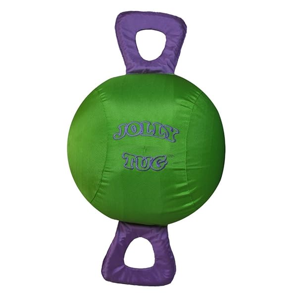 Horsemen's Pride Horsemen's Pride 14 Inch Jolly Tug Horse Toy Green Durable Fun for Horses