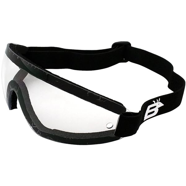 Birdz Birdz Eyewear Wing Series Goggles: Clear Lens for Ultimate Clarity & Comfort