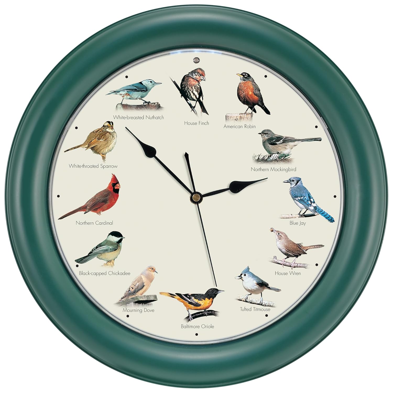 Mark Feldstein & Associates Mark Feldstein The Original Singing Bird Clock 10.7 Inch Green Perfect for Home Decor and Gift Ideas