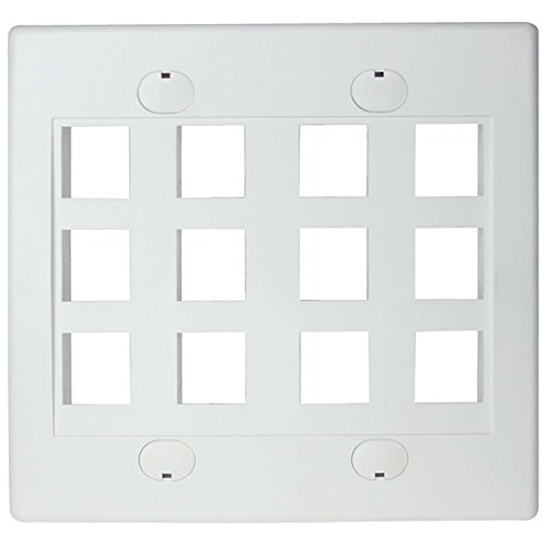 RiteAV Keystone Wall Plate Double Gang 12-Port - White Flush Mount for Easy Connectivity