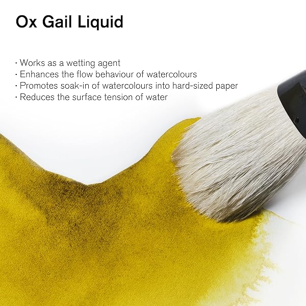 Winsor & Newton Buy Winsor & Newton Ox Gall Liquid Watercolor Medium 75ml - Enhance Your Art Today! - View 3 of 10