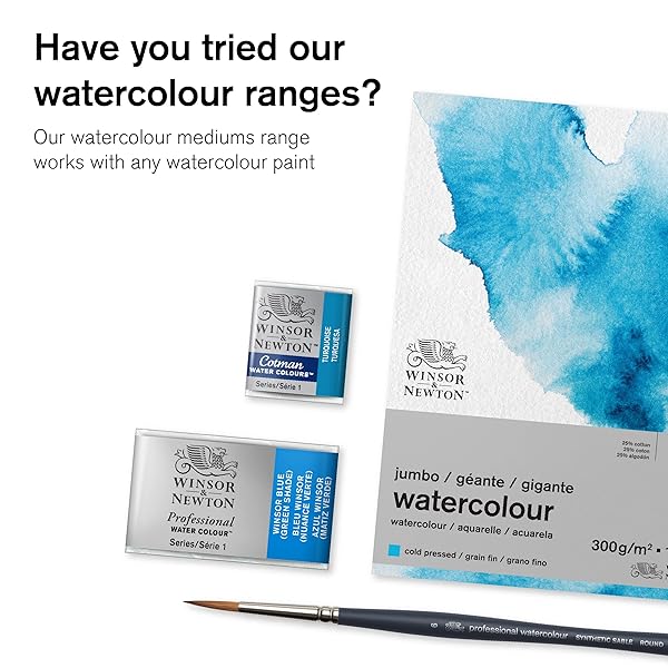 Winsor & Newton Buy Winsor & Newton Ox Gall Liquid Watercolor Medium 75ml - Enhance Your Art Today! - View 9 of 10