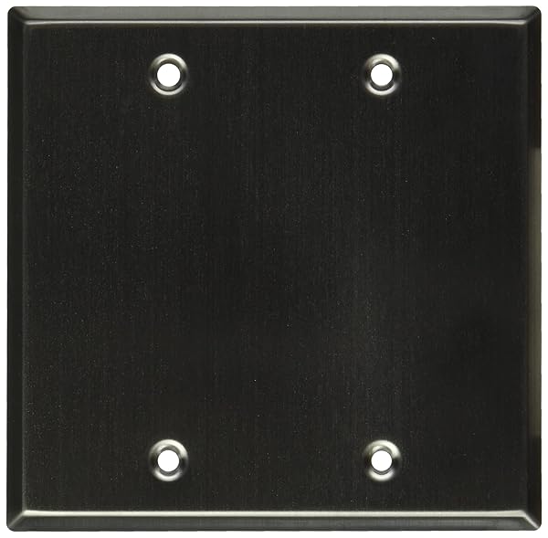 Seismic Audio Seismic Audio SA-PLATE15: Premium Stainless Steel Blank Gang Wall Plate for Clean Installations