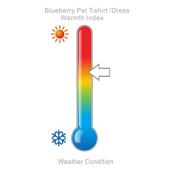 Blueberry Pet Blueberry Pet Cotton Dog Camera Hoodie Mint Hot Pink Puppy Clothes 8 Inch Back Length Pack of 1 - View 5 of 7