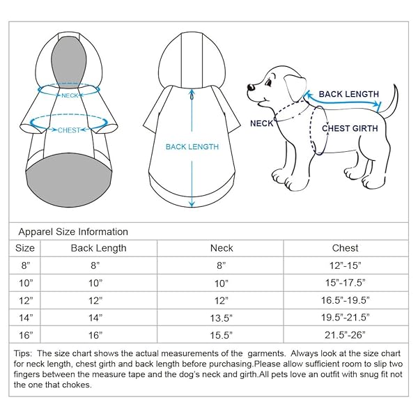 Blueberry Pet Blueberry Pet Cotton Dog Camera Hoodie Mint Hot Pink Puppy Clothes 8 Inch Back Length Pack of 1 - View 6 of 7