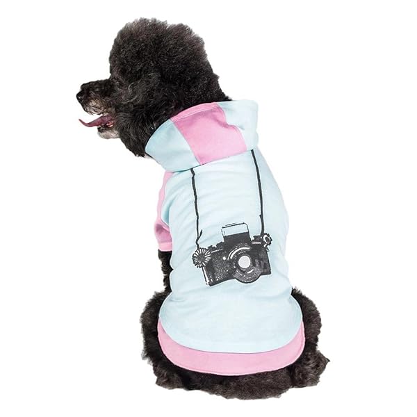 Blueberry Pet Blueberry Pet Cotton Dog Camera Hoodie Mint Hot Pink Puppy Clothes 8 Inch Back Length Pack of 1