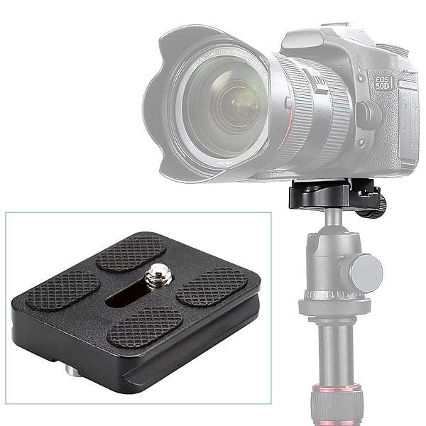 NEEWER "NEEWER Universal Arca Type Quick Release Plate - All Metal, 1/4" Screw for Tripod & Ballhead (PU50 50mm)" - View 4 of 6