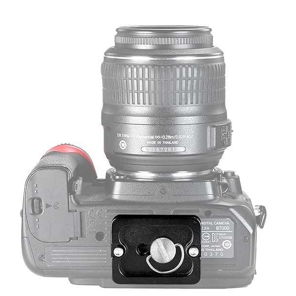 NEEWER "NEEWER Universal Arca Type Quick Release Plate - All Metal, 1/4" Screw for Tripod & Ballhead (PU50 50mm)" - View 5 of 6