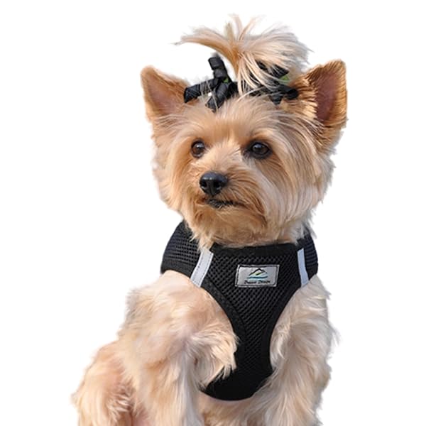 DOGGIE DESIGN Choke Free Reflective Step In Ultra Harness Black American River XXS by Doggie Design for Comfortable Pet Walking