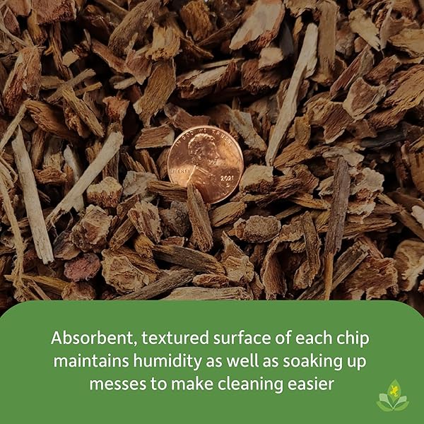 Josh's Frogs Josh's Frogs Reptile Bark 10 Quarts Premium Substrate for Healthy Reptiles and Amphibians - View 4 of 7