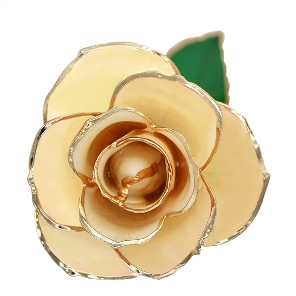 ZJchao ZJchao Love Forever Long Stem 24k Gold Dipped Rose Flower Gift for Wife Mom Girlfriend White - View 4 of 6