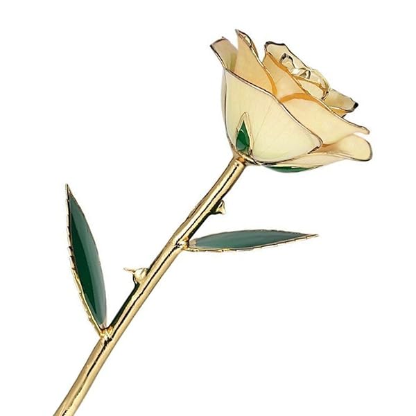 ZJchao Love Forever Long Stem 24k Gold Dipped Rose Flower Gift for Wife Mom Girlfriend White