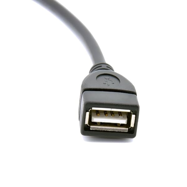 chenyang Chenyang AMI to USB Cable for VW Audi A4 A6 Q5 Q7 (2014) - MDI USB AUX Flash Drive Adapter - View 7 of 7