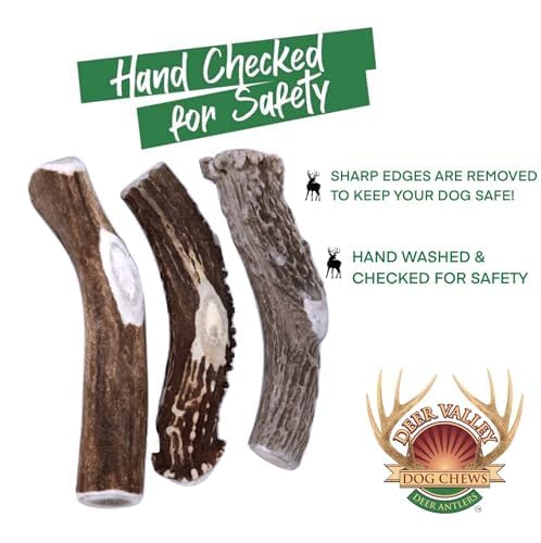 Deer Valley Dog Chews Deer Antlers Deer Valley Chews Premium Deer Antler for Dogs Large Natural Dental Treat for Teething and Chewing 6-7 Inches Long Single Antler - View 8 of 10
