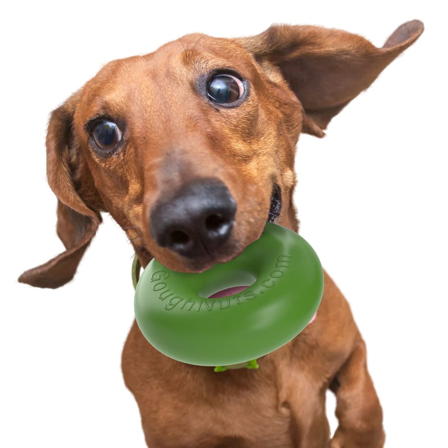 Goughnuts Goughnuts Rubber Dog Chew Toy Medium 075 Green Ring Durable Safe for Aggressive Chewers