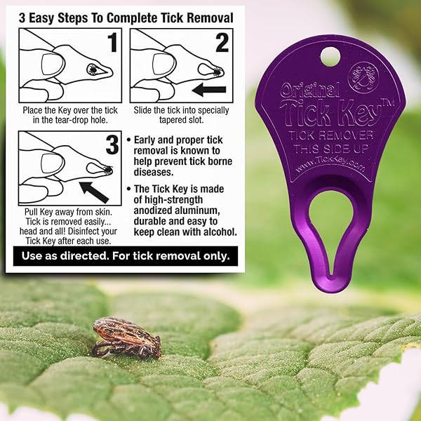 The Tick Key The Original Tick Key Portable and Safe Tick Detaching Tool Highly Effective in Purple - View 2 of 6