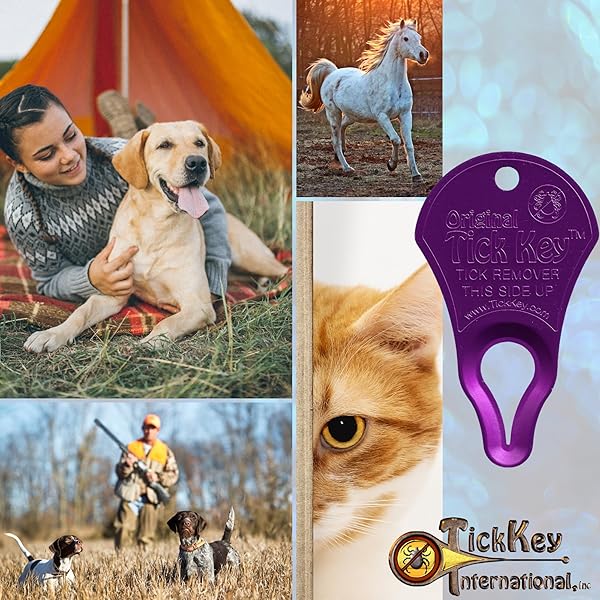 The Tick Key The Original Tick Key Portable and Safe Tick Detaching Tool Highly Effective in Purple - View 3 of 6