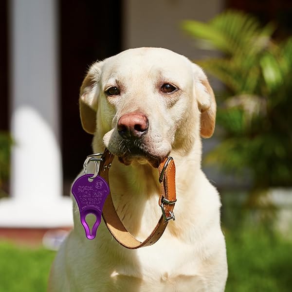 The Tick Key The Original Tick Key Portable and Safe Tick Detaching Tool Highly Effective in Purple - View 4 of 6