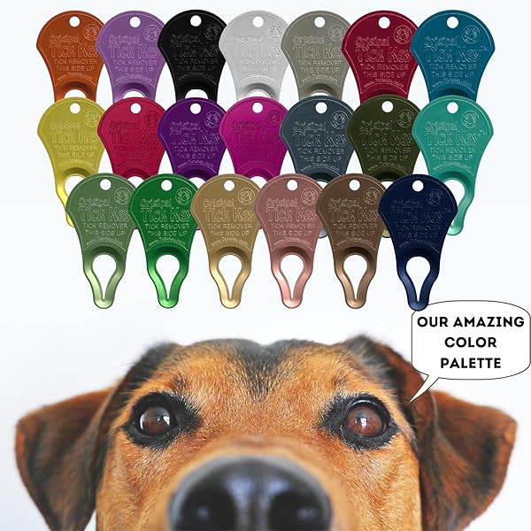 The Tick Key The Original Tick Key Portable and Safe Tick Detaching Tool Highly Effective in Purple - View 5 of 6