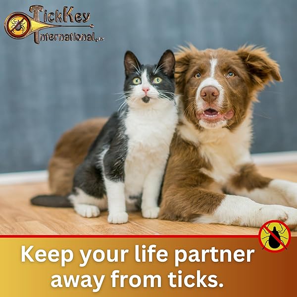 The Tick Key The Original Tick Key Portable and Safe Tick Detaching Tool Highly Effective in Purple - View 6 of 6