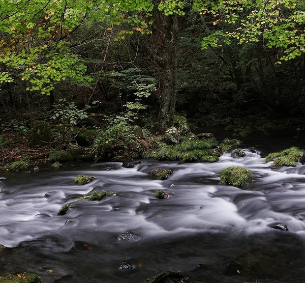 Marumi Buy Marumi 82mm ND32 Digital High Grade Filter for Cameras - Enhance Your Photography! - View 5 of 5