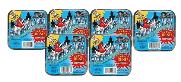 C&S Woodpecker Treat Beef Suet with Corn, Oats, Peanuts & Pecans - 11 Oz | Premium Bird Feed