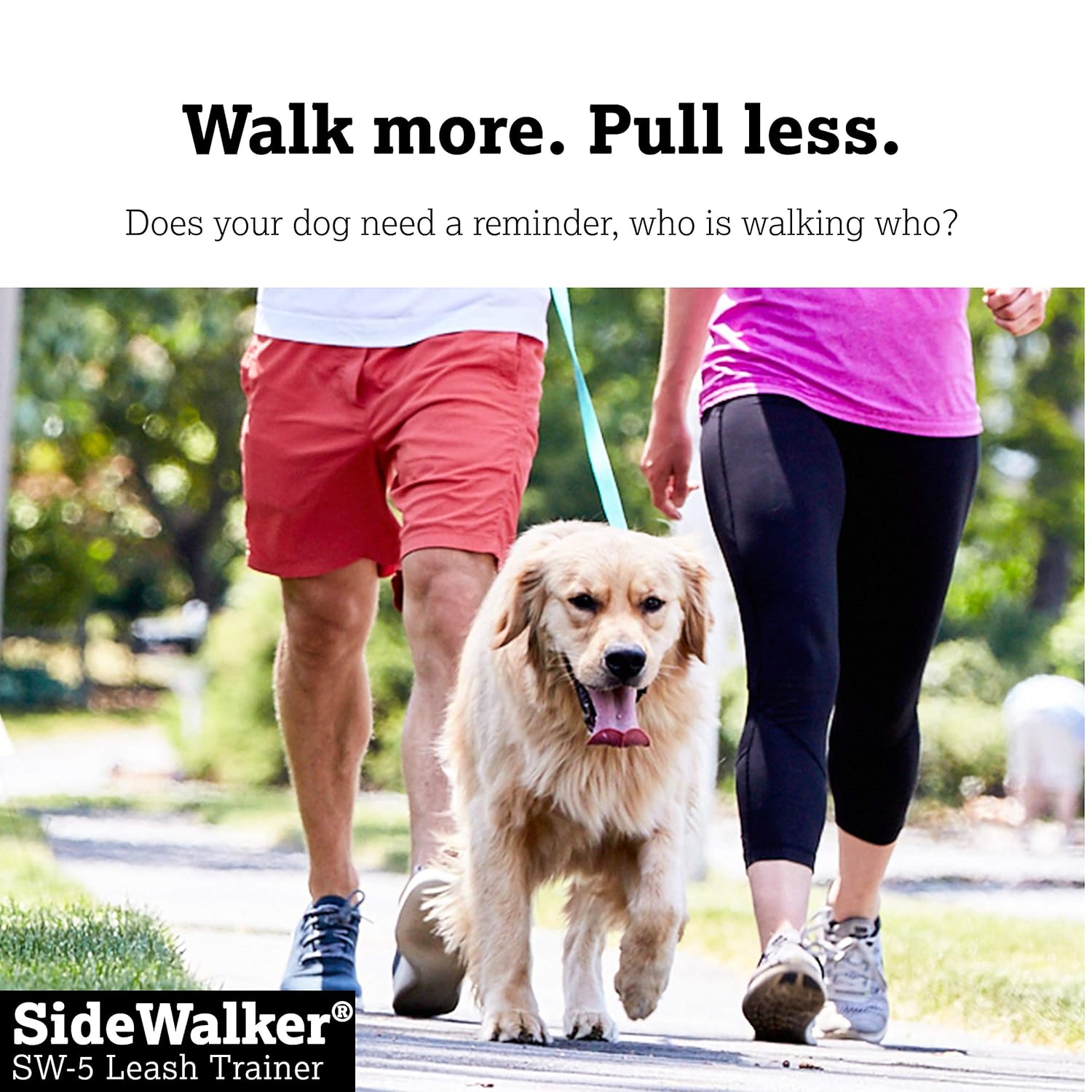 DogWatch DogWatch SW-5 Dog Leash Trainer Stop Pulling Self Teaching Electronic Collar with 3 Levels of Stimulation Vibration Waterproof Rechargeable - View 5 of 6