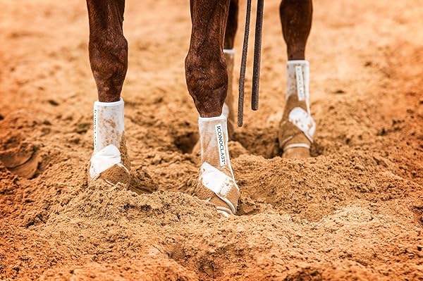 Iconoclast Equine Support Boots Birsppy NIANWUDU Iconoclast Orthopedic Support Boots for Hind Legs Medium White 1 Pair - View 2 of 3