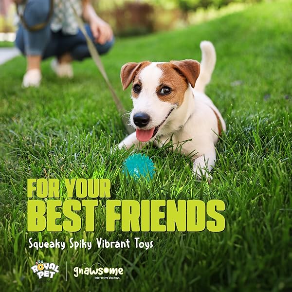 Gnawsome Gnawsome Squeak and Light Football Multicolor 2.5 Inch 1 Count Ideal for Dogs and Playtime Fun - View 2 of 9