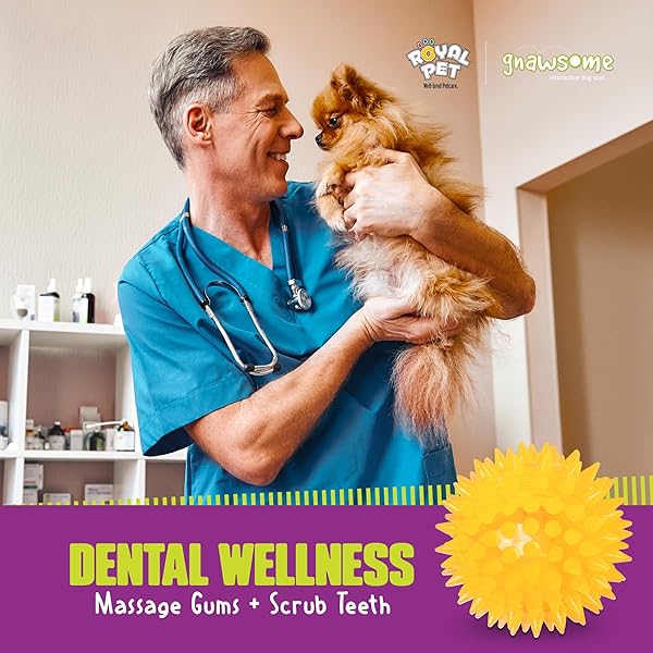 Gnawsome Gnawsome Squeak and Light Football Multicolor 2.5 Inch 1 Count Ideal for Dogs and Playtime Fun - View 3 of 9