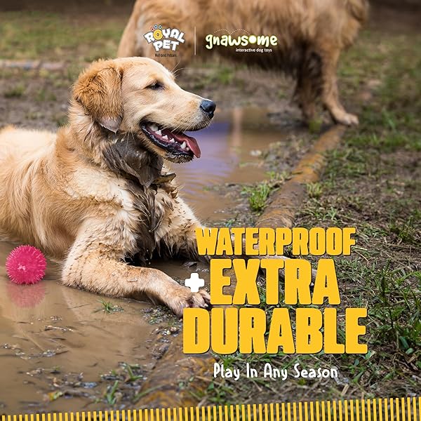 Gnawsome Gnawsome Squeak and Light Football Multicolor 2.5 Inch 1 Count Ideal for Dogs and Playtime Fun - View 4 of 9