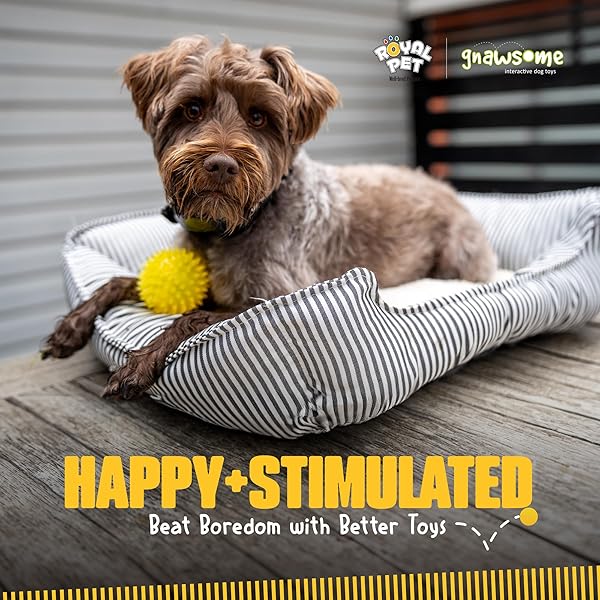 Gnawsome Gnawsome Squeak and Light Football Multicolor 2.5 Inch 1 Count Ideal for Dogs and Playtime Fun - View 5 of 9