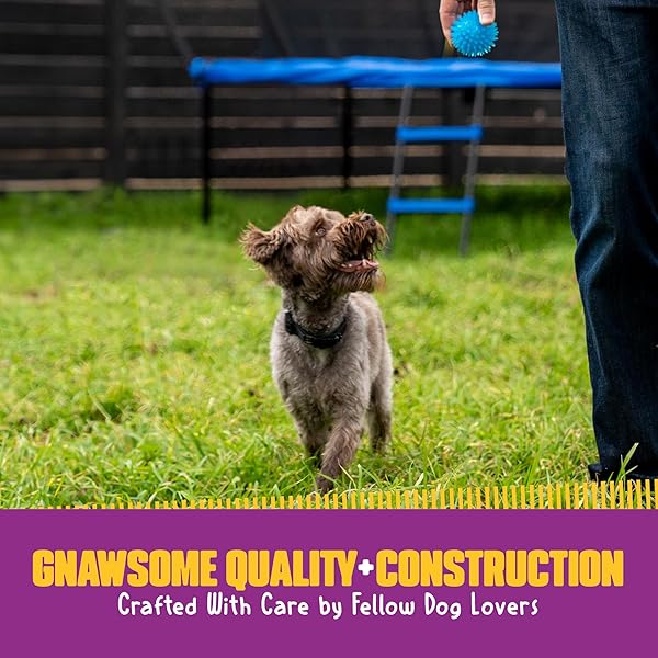 Gnawsome Gnawsome Squeak and Light Football Multicolor 2.5 Inch 1 Count Ideal for Dogs and Playtime Fun - View 8 of 9