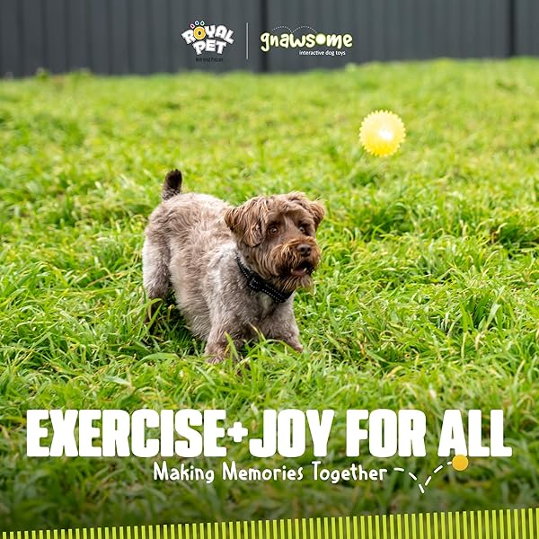 Gnawsome Gnawsome Squeak and Light Football Multicolor 2.5 Inch 1 Count Ideal for Dogs and Playtime Fun - View 9 of 9