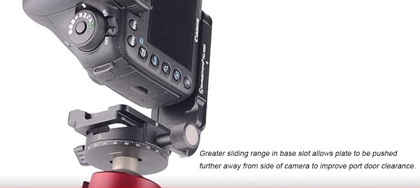 SUNWAYFOTO Buy SUNWAYFOTO PCL-7DIIR L Plate for Canon 7D Mark II - Arca & RRS Compatible - View 10 of 10