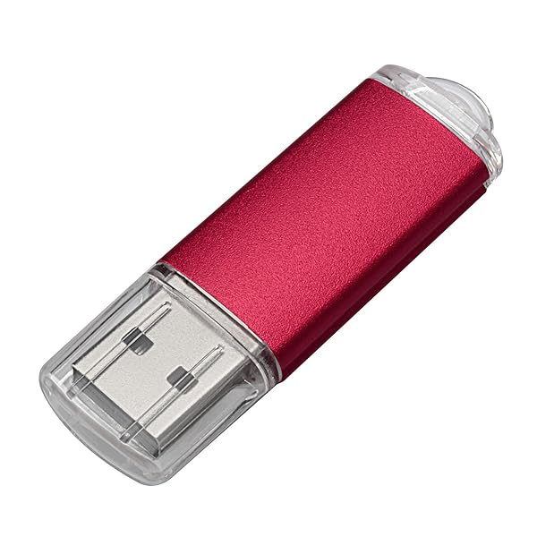 VICFUN VICFUN 10 Pack 2GB USB Flash Drives USB 2.0 Memory Stick Red High Speed Storage Solution - View 5 of 5
