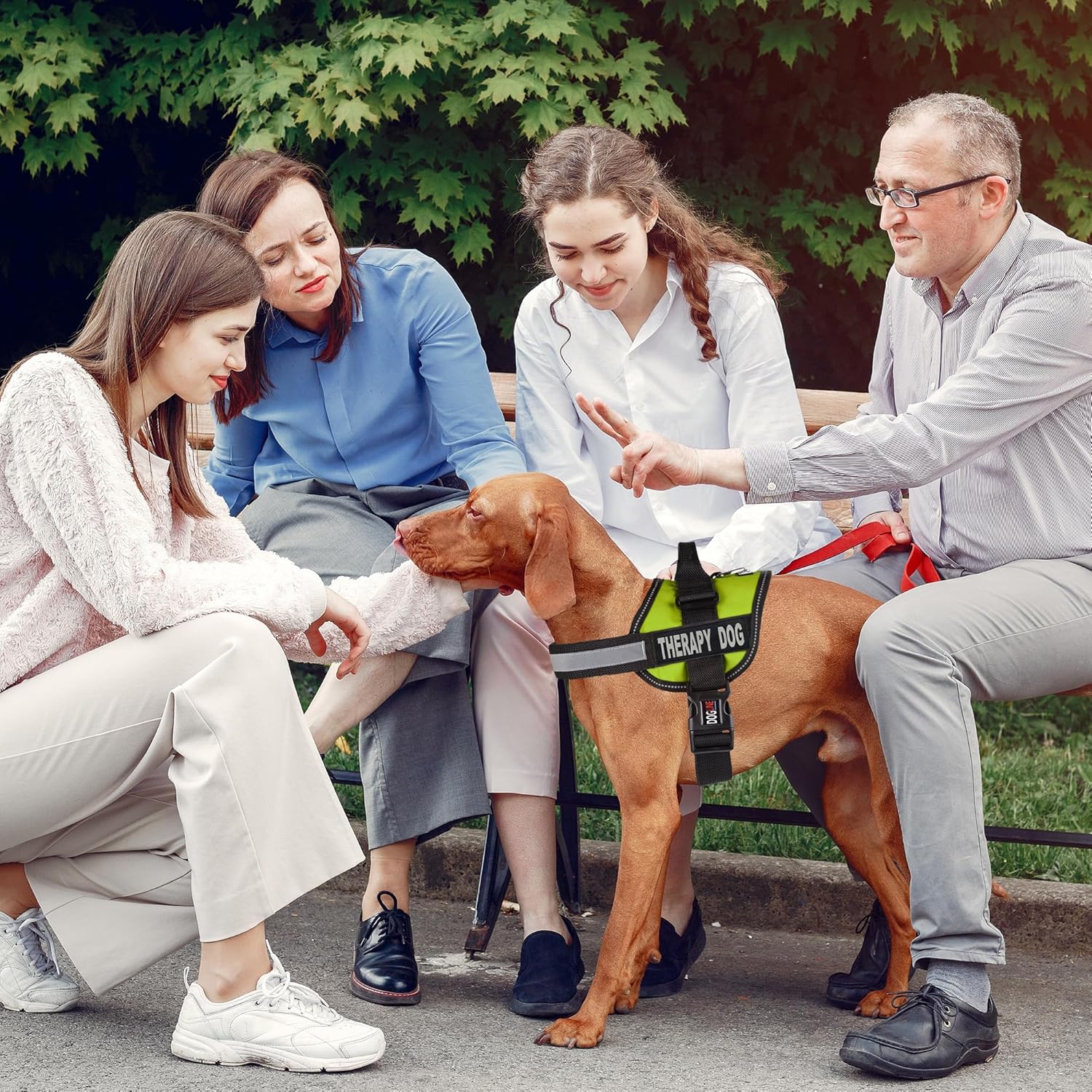 Dogline Dogline Vest Harness for Dogs with 2 Removable Therapy Dog Patches Small 18 to 25 Inches Green - View 7 of 9